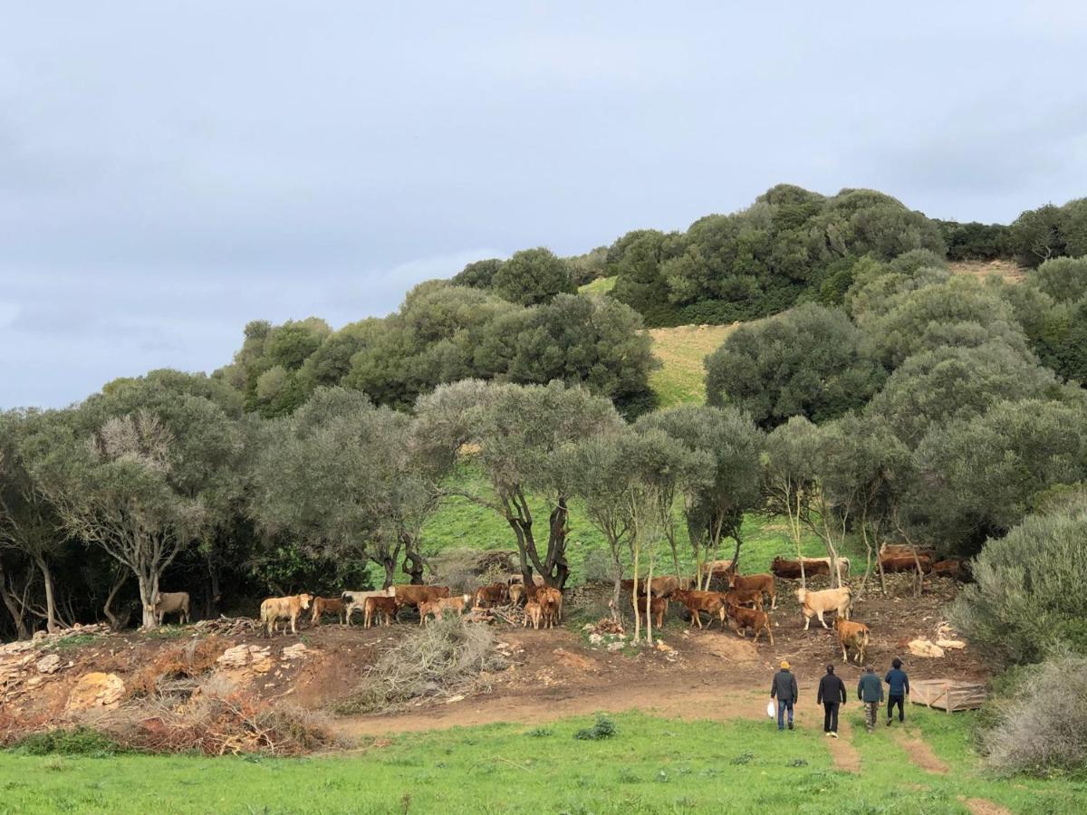 Casa Rural Bini Aumaia 埃斯·梅卡达尔 外观 照片