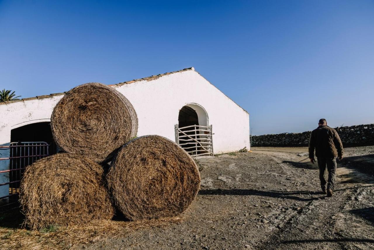 Casa Rural Bini Aumaia 埃斯·梅卡达尔 外观 照片