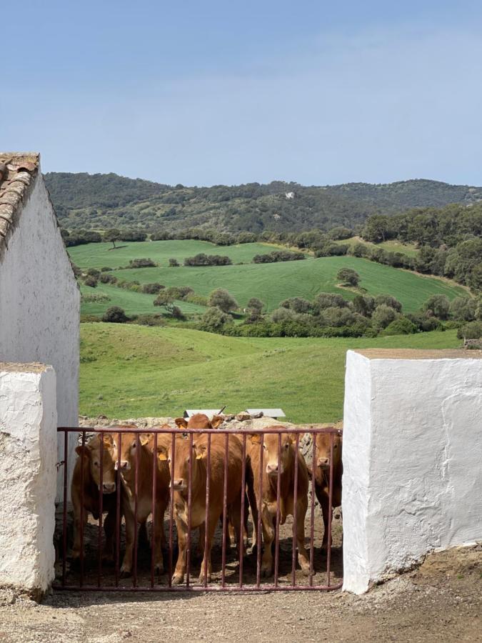 Casa Rural Bini Aumaia 埃斯·梅卡达尔 外观 照片