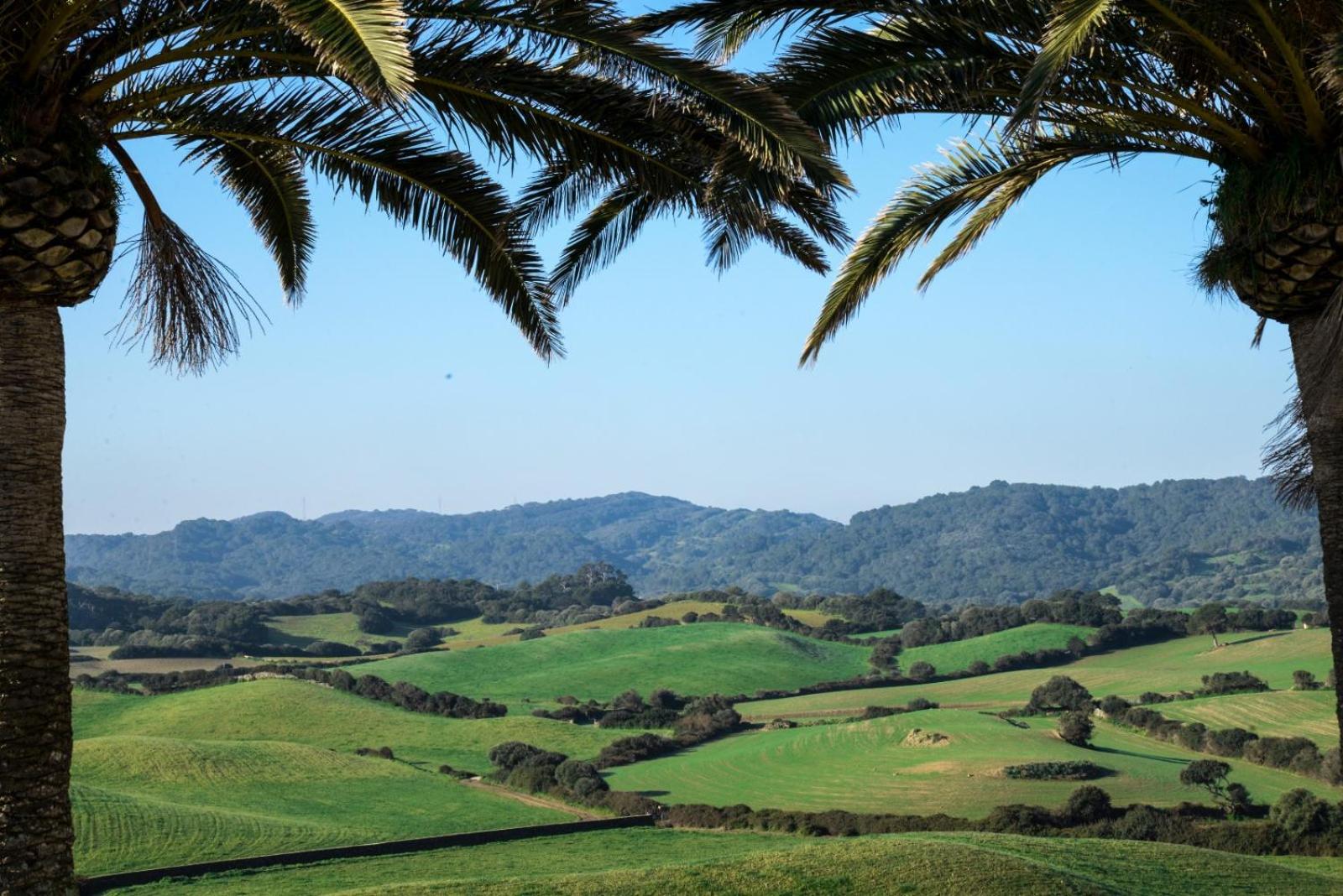 Casa Rural Bini Aumaia 埃斯·梅卡达尔 外观 照片